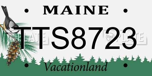 TTS8723 Maine License Plate