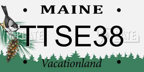 TTSE38 Maine License Plate