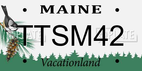 TTSM42 Maine License Plate