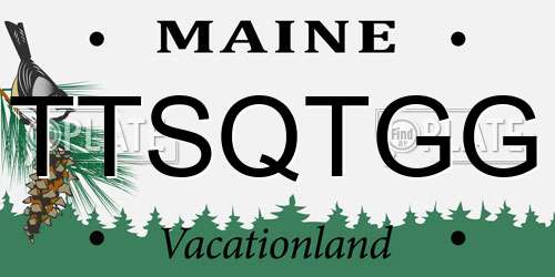 TTSQTGG Maine License Plate