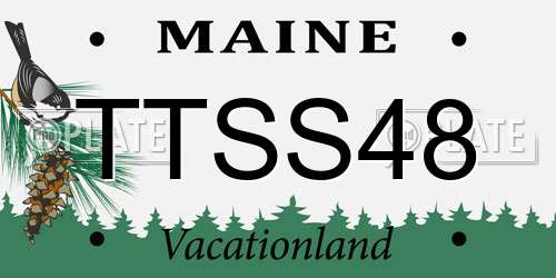 TTSS48 Maine License Plate