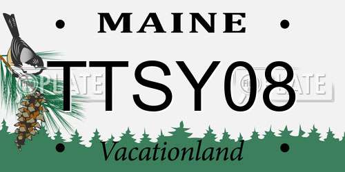 TTSY08 Maine License Plate