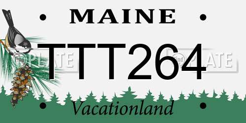 TTT264 Maine License Plate