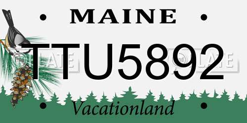 TTU5892 Maine License Plate