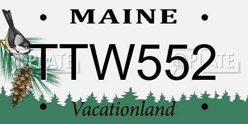 TTW552 Maine License Plate