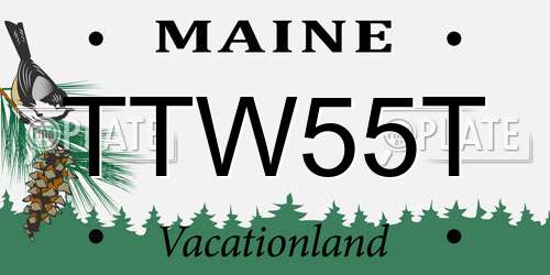 TTW55T Maine License Plate