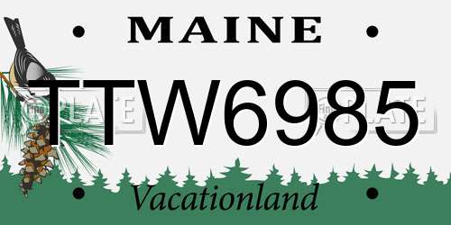 TTW6985 Maine License Plate