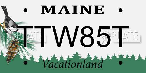 TTW85T Maine License Plate