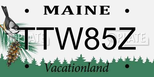 TTW85Z Maine License Plate