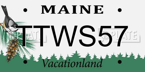 TTWS57 Maine License Plate