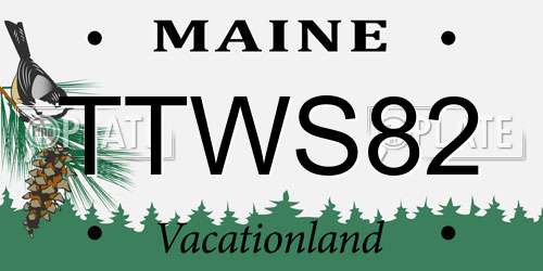 TTWS82 Maine License Plate