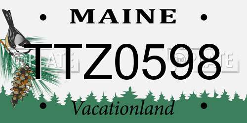 TTZ0598 Maine License Plate