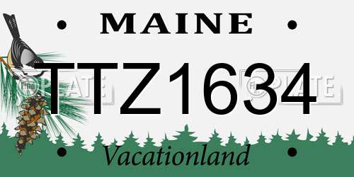 TTZ1634 Maine License Plate