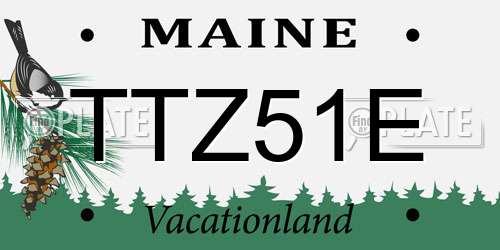 TTZ51E Maine License Plate