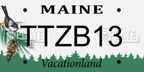 TTZB13 Maine License Plate