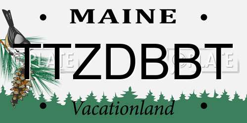 TTZDBBT Maine License Plate
