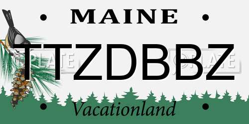 TTZDBBZ Maine License Plate