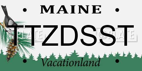 TTZDSST Maine License Plate