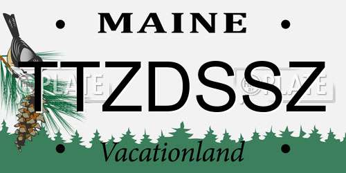 TTZDSSZ Maine License Plate
