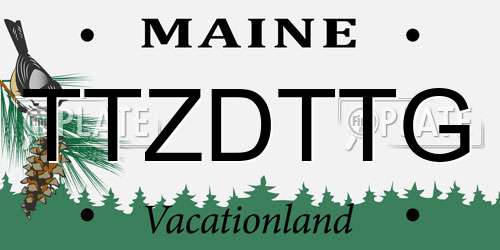 TTZDTTG Maine License Plate