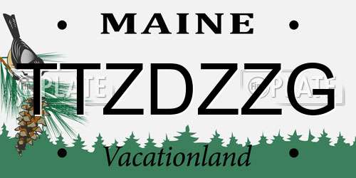 TTZDZZG Maine License Plate