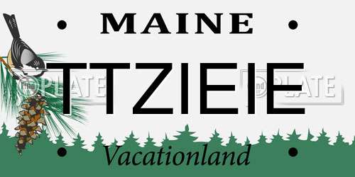 TTZIEIE Maine License Plate