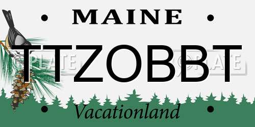 TTZOBBT Maine License Plate