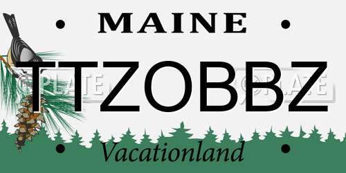 TTZOBBZ Maine License Plate