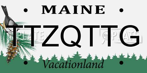 TTZQTTG Maine License Plate