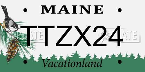 TTZX24 Maine License Plate
