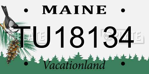 TU18134 Maine License Plate