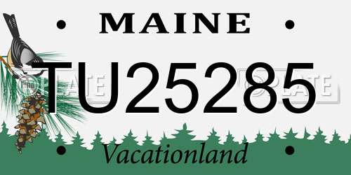 TU25285 Maine License Plate