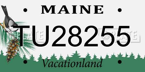 TU28255 Maine License Plate