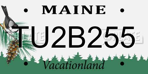 TU2B255 Maine License Plate