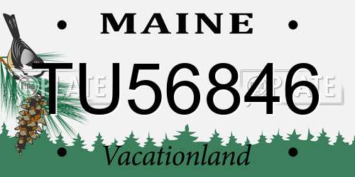 TU56846 Maine License Plate