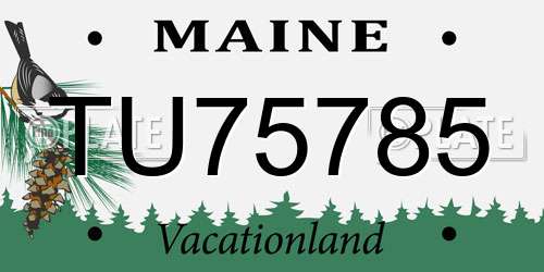 TU75785 Maine License Plate