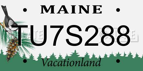 TU7S288 Maine License Plate
