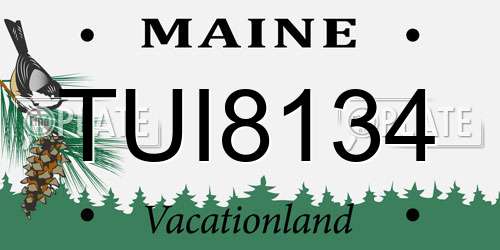 TUI8134 Maine License Plate
