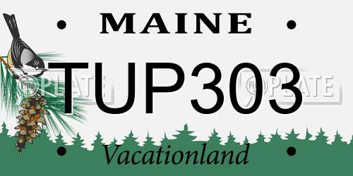 TUP303 Maine License Plate