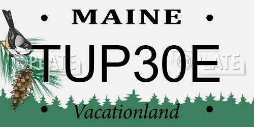 TUP30E Maine License Plate