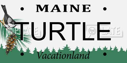 TURTLE Maine License Plate