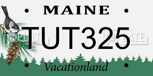 TUT325 Maine License Plate