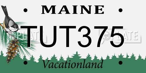 TUT375 Maine License Plate
