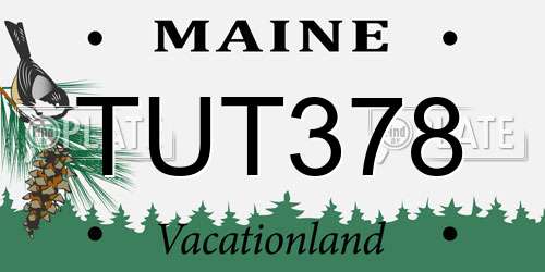 TUT378 Maine License Plate