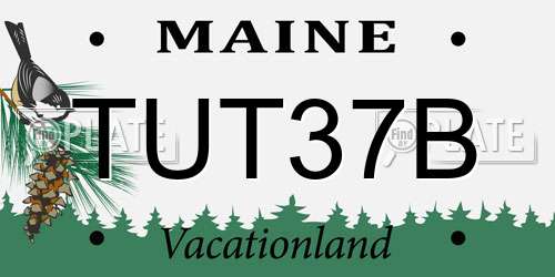TUT37B Maine License Plate