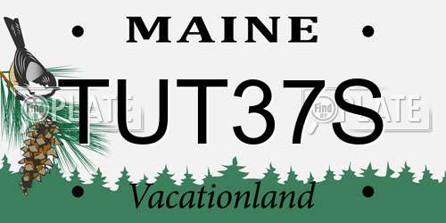 TUT37S Maine License Plate