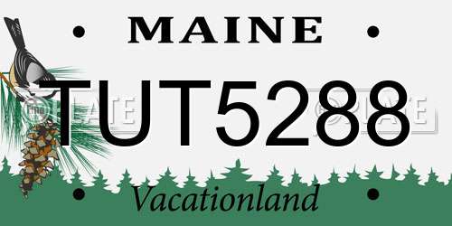 TUT5288 Maine License Plate