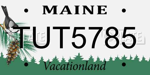 TUT5785 Maine License Plate