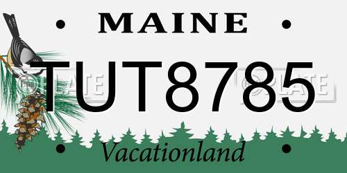 TUT8785 Maine License Plate
