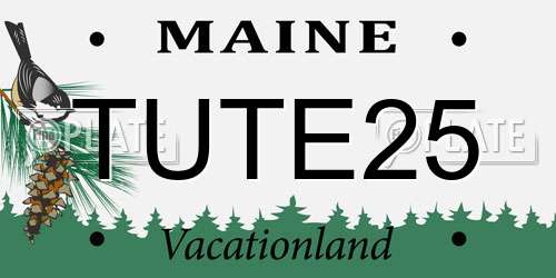 TUTE25 Maine License Plate